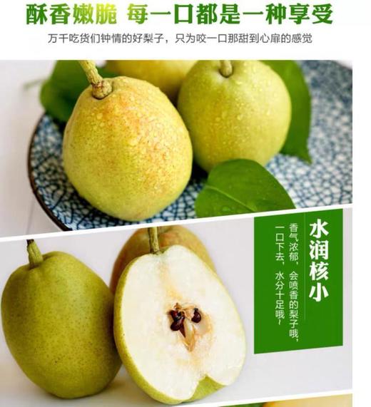 快递直发-库尔勒香梨特级果5.5元/斤，44.22元/8斤一箱 商品图0