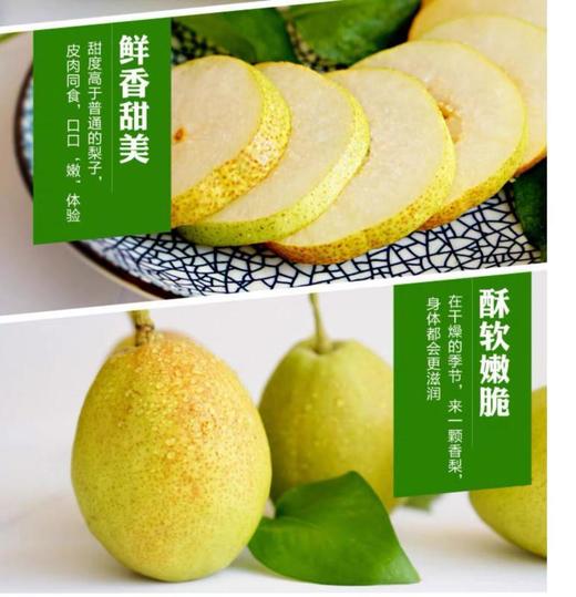 快递直发-库尔勒香梨特级果5.5元/斤，44.22元/8斤一箱 商品图1