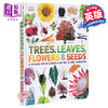 【中商原版】树，树叶，种子百科 英文原版 DK-Trees, Leaves, Flowers and Seeds: A Visual Encyclopedia of The Plant King 商品缩略图0