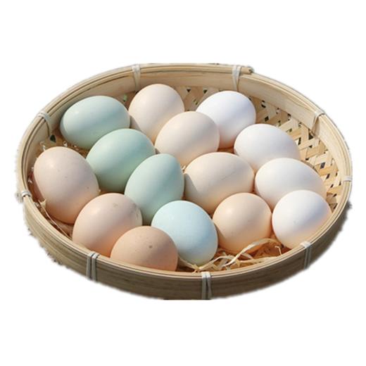 爱农山林散养柴鸡蛋土鸡蛋30枚装 京东包邮到家 商品图0