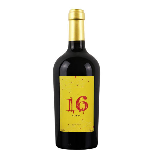意大利16红葡萄酒750ml 商品图0