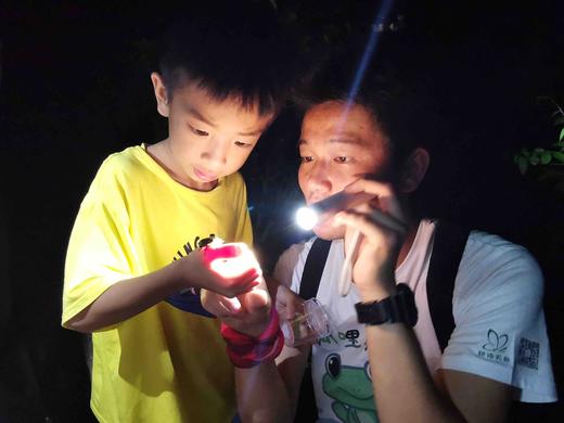 2025 寻找夜精灵」--朴愿呱哩农场夜观活动预定 商品图1