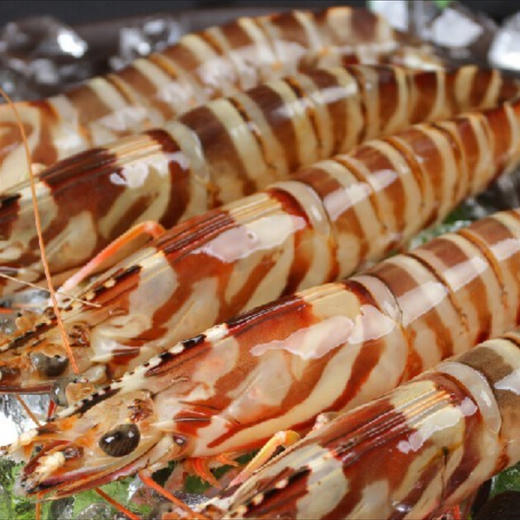 深海船冻斑节虾350克 商品图0