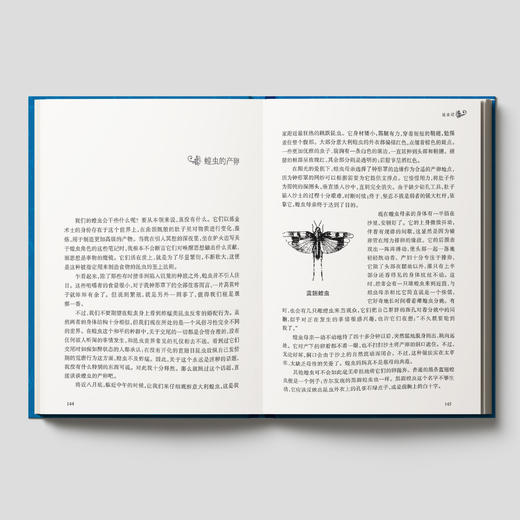 《昆虫记》 商品图3