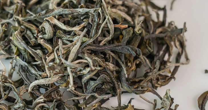 曼松贡茶2020年生普