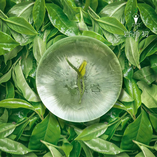 澜沧古茶 岩冷初氨基酸柔肤皂100g 商品图1
