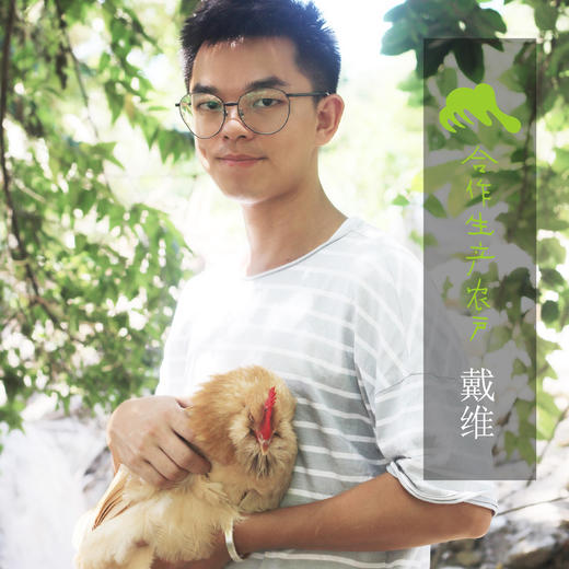 生态鸡内金 |合作生产* Eco-Chicken's gizzard-membrane| Coproduction 商品图1