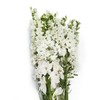 配花-大飞燕-白色-5支 商品缩略图1