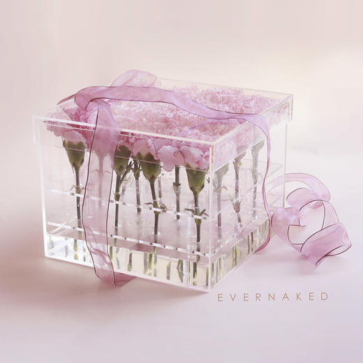 进口康乃馨花盒 商品图5