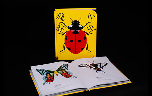 疯狂小虫 入选中华科普图书榜 百余幅精美大图展示昆虫精致细节 兼具艺术性和科学性  一场与昆虫的美丽邂逅 商品图1