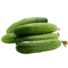 【密云】七寸黄瓜  1斤  新鲜现摘 爽口脆嫩  瓜味浓郁  适合生吃 、蘸酱 商品缩略图4