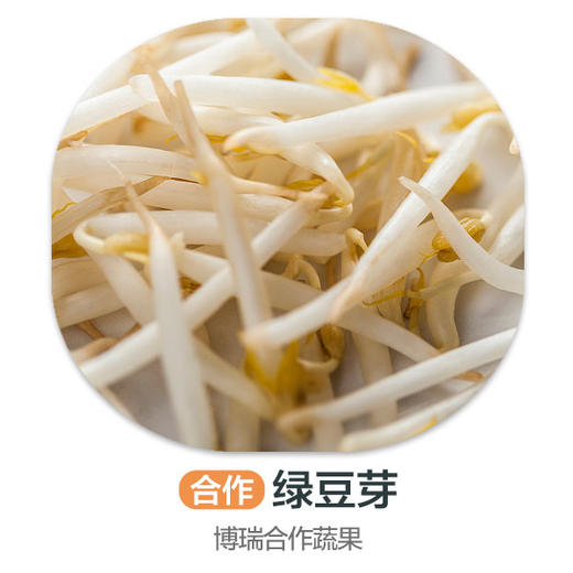 赞字村已有机绿豆芽 商品图0