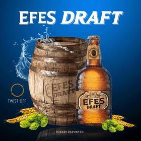 EFES/艾菲土耳其原装进口啤酒 生啤 纯生 艾菲啤酒（瓶装） 500ml