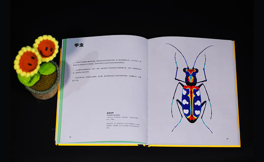 疯狂小虫 入选中华科普图书榜 百余幅精美大图展示昆虫精致细节 兼具艺术性和科学性  一场与昆虫的美丽邂逅 商品图3