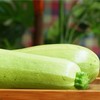 生态西葫芦 | 皮薄汁多 | 石嫣农场* Zucchini 商品缩略图1