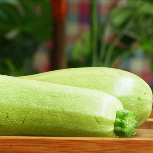 生态西葫芦 | 皮薄汁多 | 石嫣农场* Zucchini 商品图1