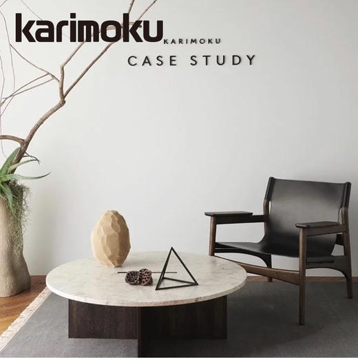 KCS｜Karimoku case study·N-LC02 日本进口北欧简约休闲单椅小户型客厅帆布实木阳台休闲椅 商品图2