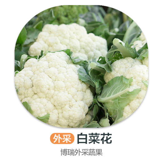 白菜花 商品图0