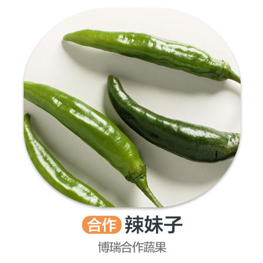 赞字村辣妹子 商品图0