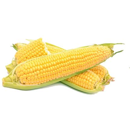 玉米 商品图0