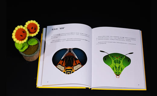 疯狂小虫 入选中华科普图书榜 百余幅精美大图展示昆虫精致细节 兼具艺术性和科学性  一场与昆虫的美丽邂逅 商品图2