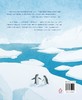 勇闯南极——中国南极科考队建站之旅 商品缩略图1