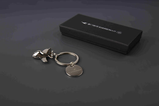 天津分店-飞机金属钥匙扣 商品图0