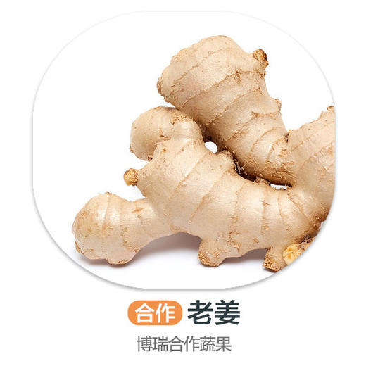 赞字村老姜 商品图0