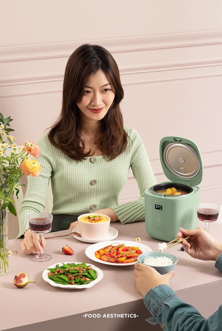 一人食饭煲生活元素果岭风多功能迷你电饭煲