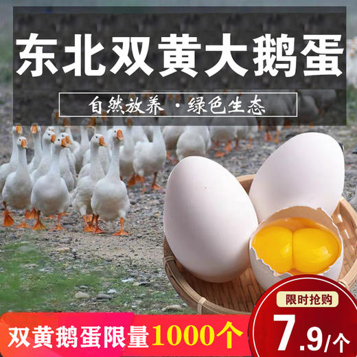 农家双簧鲜鹅蛋200~240g/个 商品图0