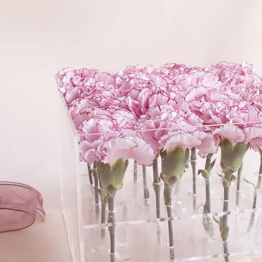 进口康乃馨花盒 商品图4