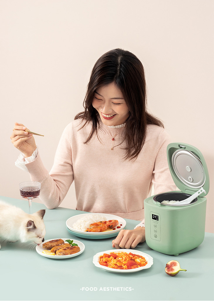 一人食饭煲生活元素果岭风多功能迷你电饭煲