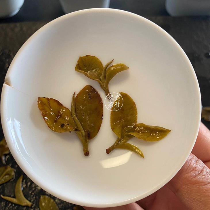 猫耳朵奇葩小叶种茶界小妖怪稀有5公斤