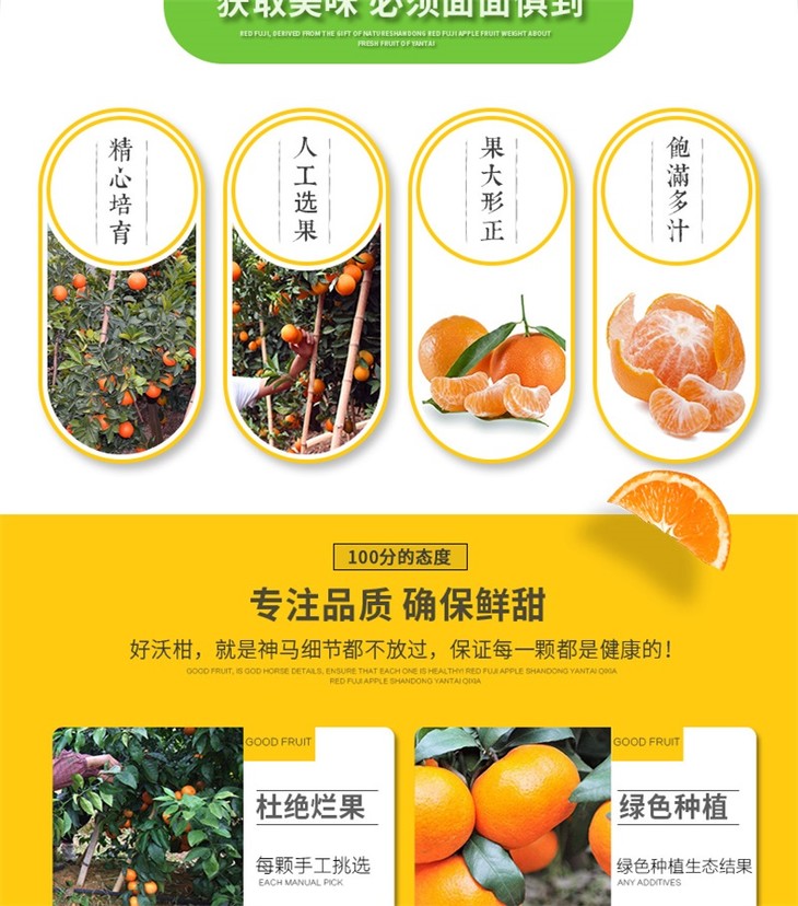 潼南沃柑2.5kg-5kg/件【满39包邮系列】