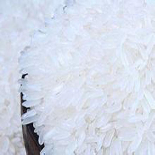 散五常香米(2500g±150g) 商品图0