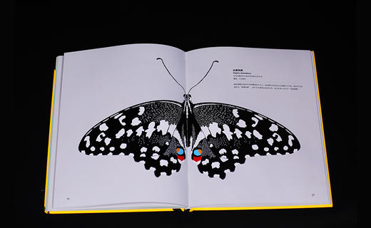 疯狂小虫 入选中华科普图书榜 百余幅精美大图展示昆虫精致细节 兼具艺术性和科学性  一场与昆虫的美丽邂逅 商品图4