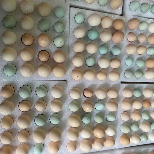 生态鸡蛋 | 合作生产*Eco- egg | Coproduction 商品图2