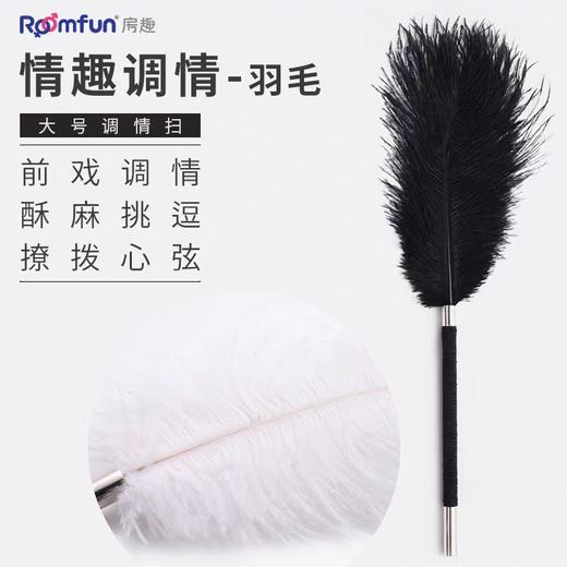 roomfun房趣 sp前戏调情套装 挑逗羽毛用具 商品图1