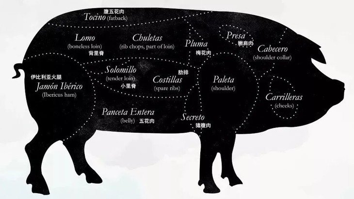 猪肉中的帝王|西班牙伊比利亚黑毛猪 secreto肩肌肉