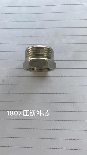 1807压铸补芯