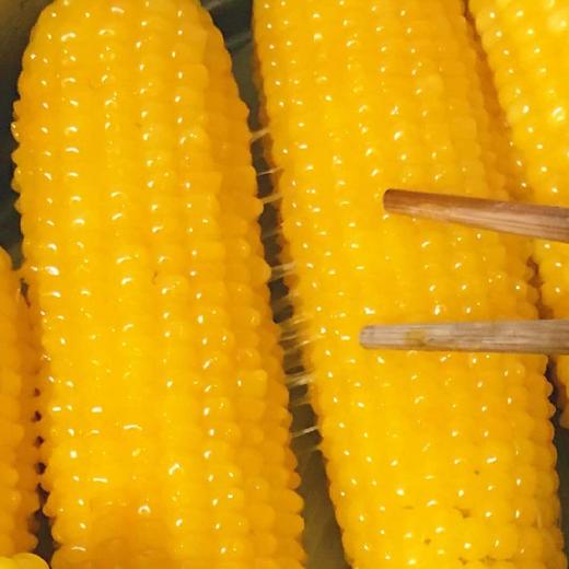 东北甜糯黄玉米18根/箱 真空礼盒装 商品图2