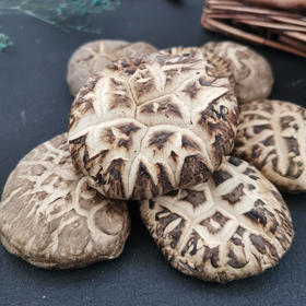 嫩滑鲜香  ·南阳西峡特级无根香菇 地标产品菇香浓郁 