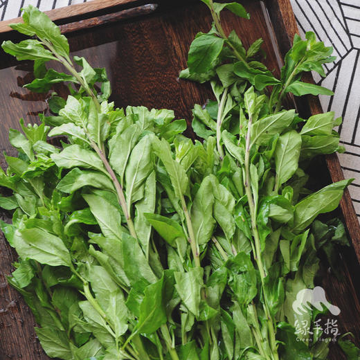 生态枸杞叶 | 绿家自产* Ecological Chinese wolfberry leaves | Self-production 商品图1