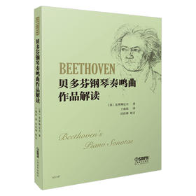 贝多芬钢琴奏鸣曲作品解读 克里姆辽夫 著