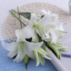 百合-西伯利亚-两头10枝/扎 商品缩略图0