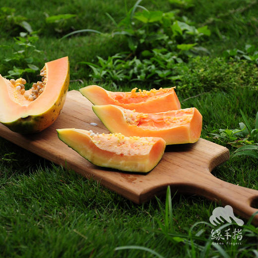 生态木瓜 | 绿家自产* Eco-papaya | Self-production 商品图2