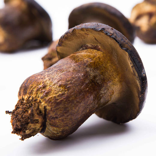 【新鲜有机  人工黑牛肝菌】  顺丰包邮   500g/1000g任选 商品图10