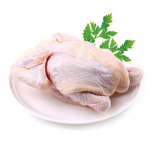 冷链三黄鸡168元1只