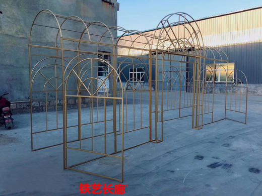 花房【运费自理】 商品图1