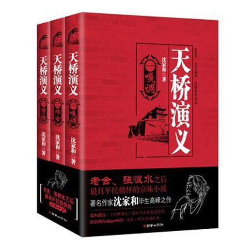 37456天桥演义 沈家河小说全3册民国老北京生活剪影 商品图0